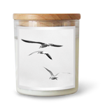 The Commonfolk - The seagulls